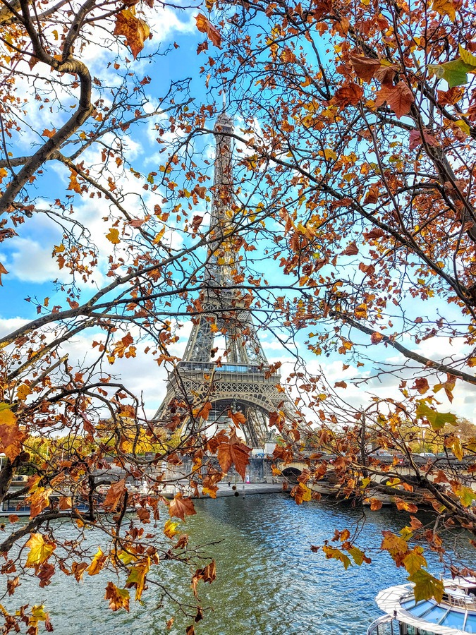 Paris in Autumn  Print