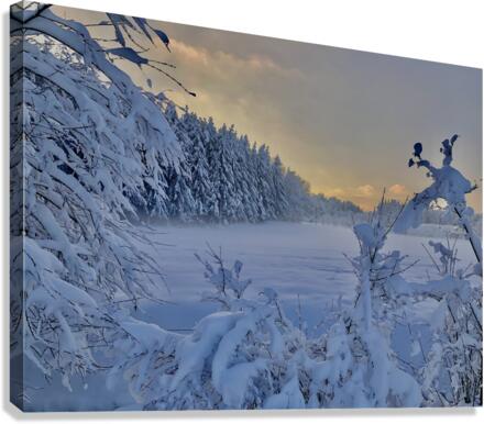 Winter Wonderland  Canvas Print