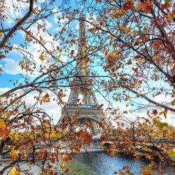 Paris in Autumn