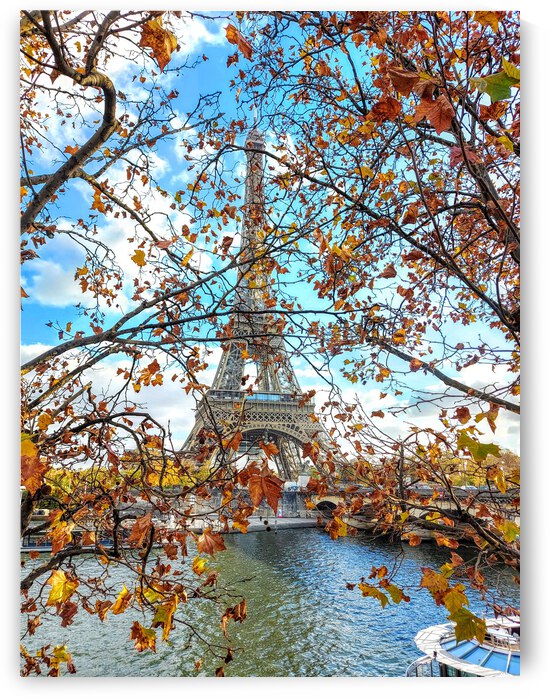 Paris in Autumn by Alberto Varela